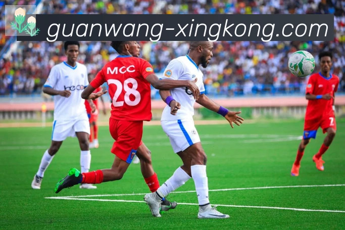 多媒体互动体验