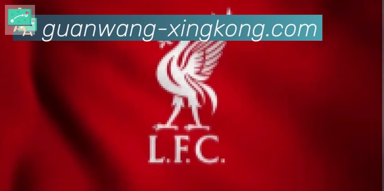 星空体育官网入口合作伙伴